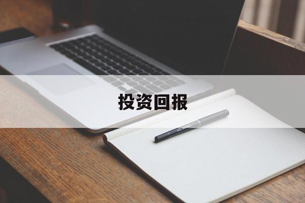 投资回报(投资回报率英文)