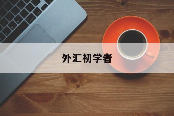 外汇初学者(外汇初学者怎么做外汇)