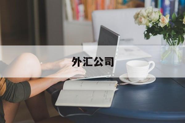 外汇公司(外汇公司有哪些)